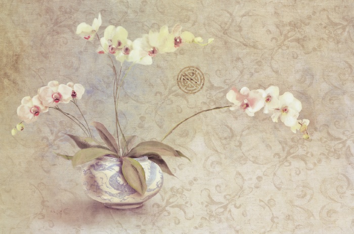 Cheri Blum Orchids in a Porcelain Bowl